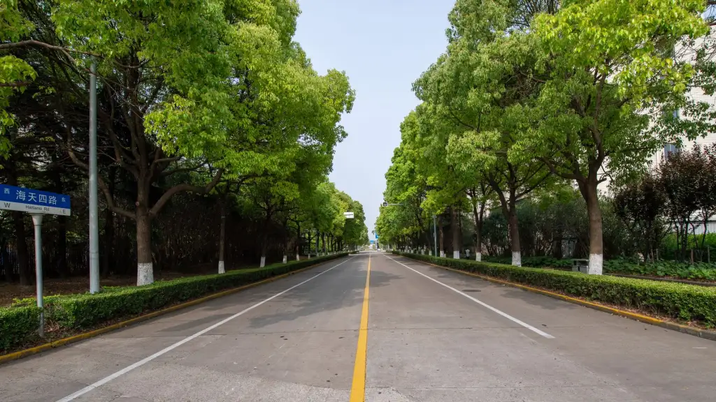 云南欣潼花卉鲜切花产品规格参数与适用场景对照分析