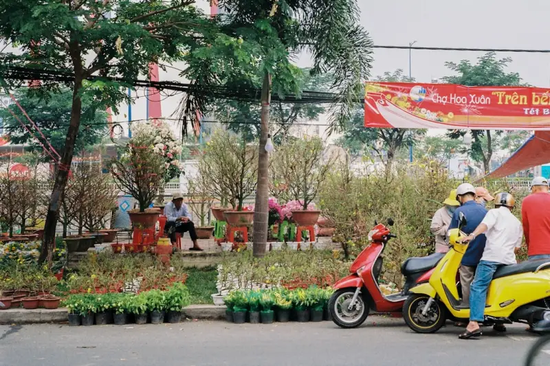 云南欣潼花卉鲜切花产品规格与适用场景对照解析