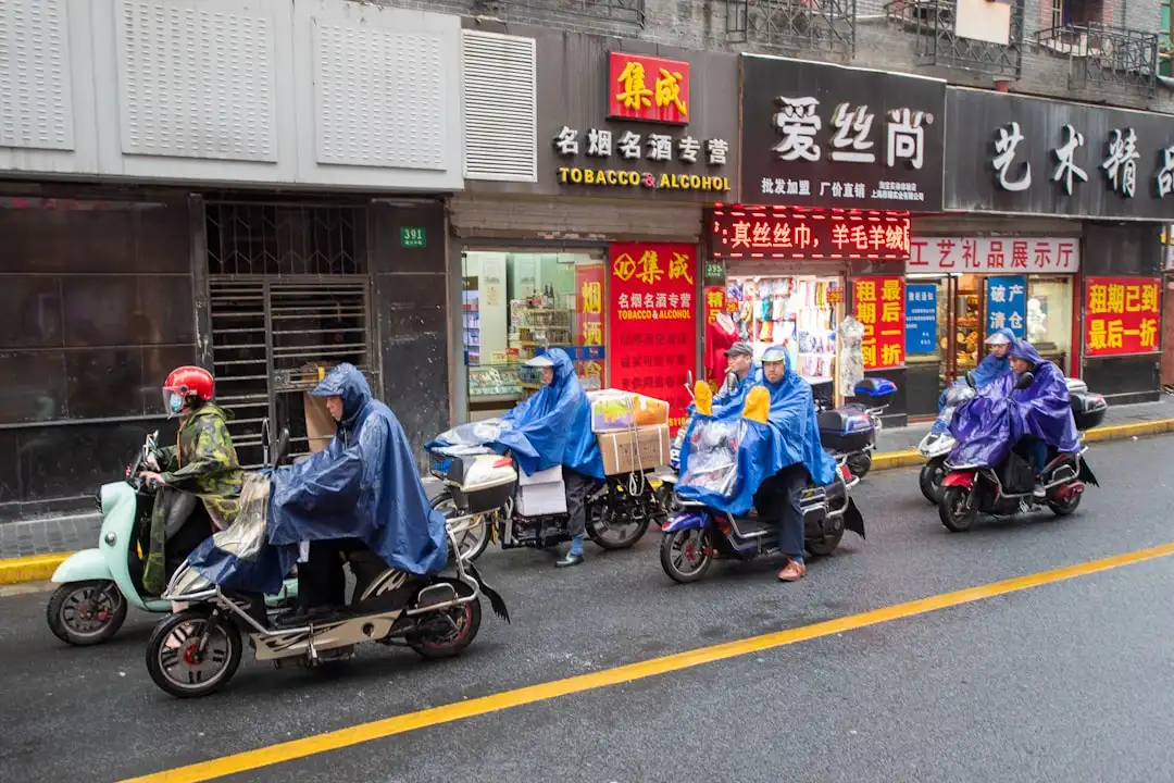 云南花卉贸易市场观察：鲜切花供应链如何保障全国花店稳定供货