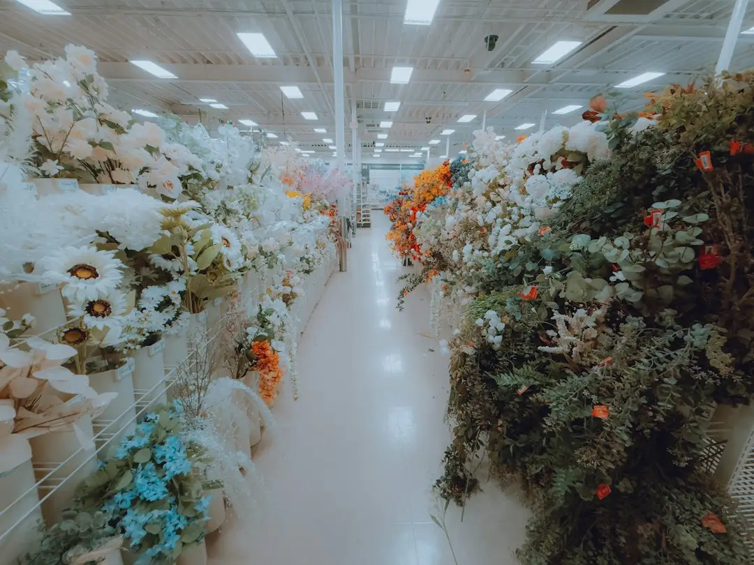 云南鲜花种植基地的规模化运营模式解析：以欣潼花卉为例谈鲜切花供应链优化